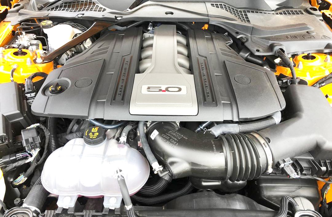 Ming Heng | Car Detail | FORD MUSTANG GT 5.0